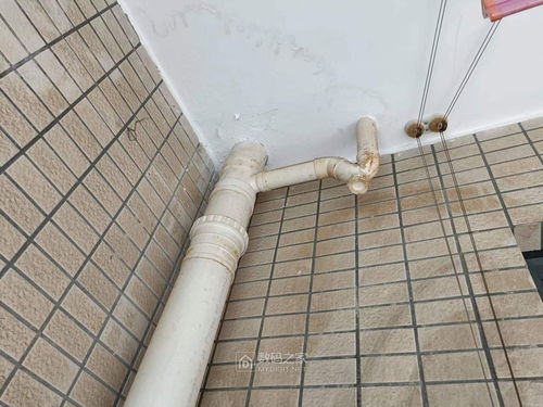 陽臺pvc排水管 u形回水管 被樓下用 發(fā)泡膠 堵死了 有沒有什么方法解決 能工巧匠